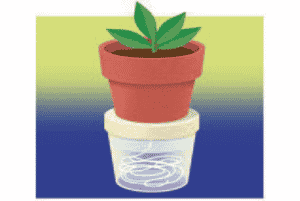A Clever Way to Water