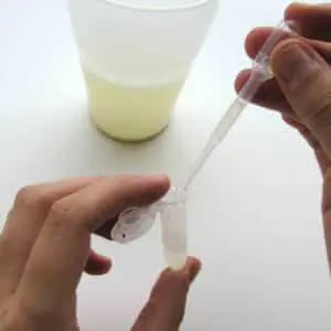 Building with Biology