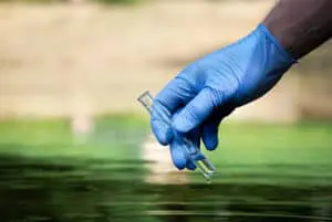 Chemistry Lesson: Making an Impact on Habitat