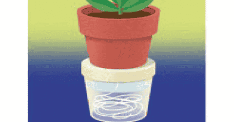 A Clever Way to Water