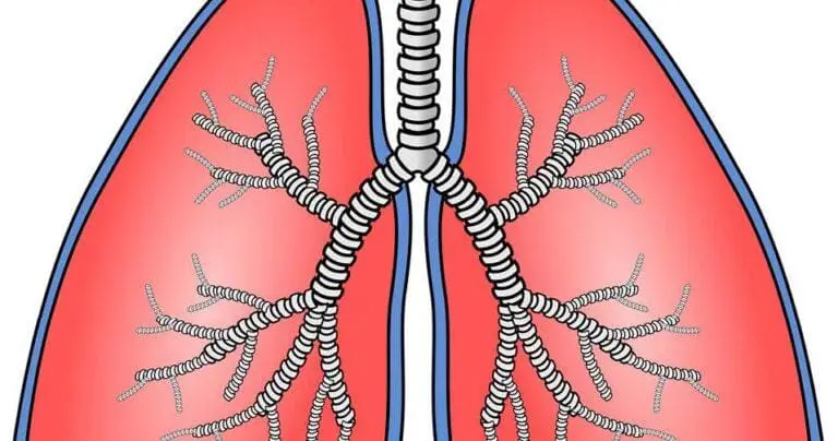 Nanomedicine