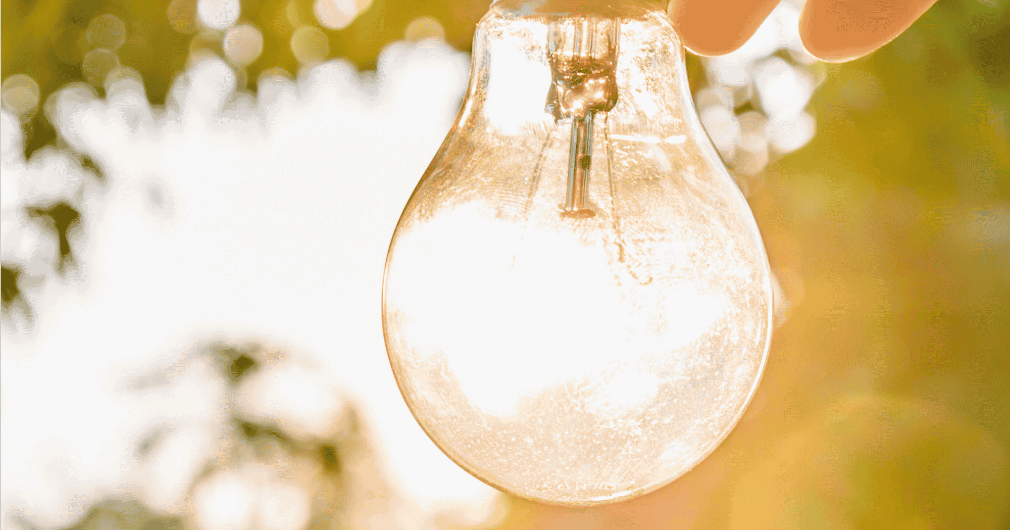 Grade 1 Lesson: Daylight in a Bottle