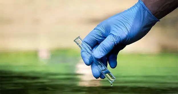 Chemistry Lesson: Making an Impact on Habitat