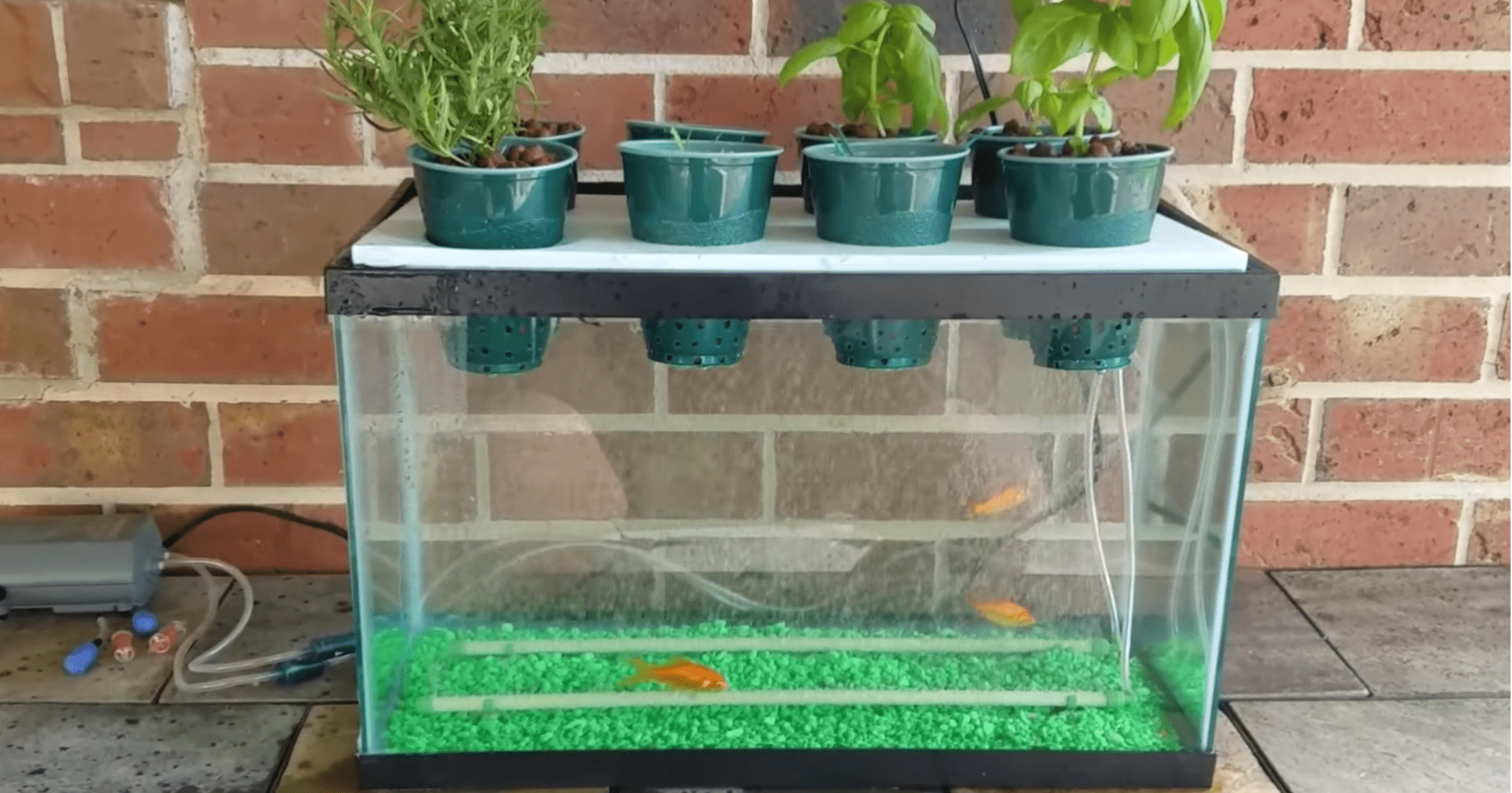 Soilless Farming