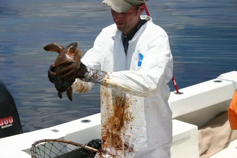 Oil Spill Cleanup