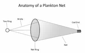Build a Plankton Net - DiscoverE