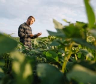 Agriculture & Biosystems