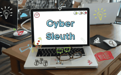 Cyber Sleuth: Which DMs Can I Trust?