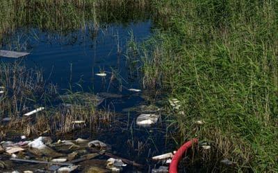 Restore a Habitat Challenge